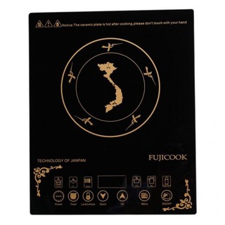Bếp hồng ngoại FUJICOOK DD-HC13A
