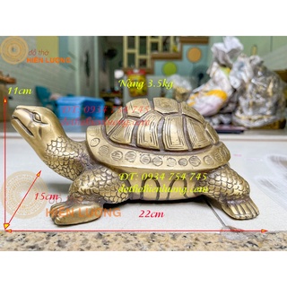 Tượng rùa mai vằn bằng đồng cỡ đại dxrxc: 22x15x11cm nặng 3 5kg