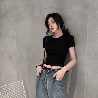 Áo crop cộc tay