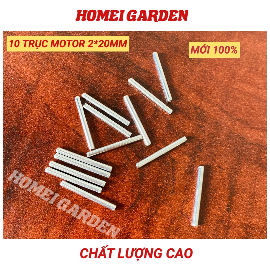 10 trục động cơ motor 2mm*20mm chất lượng cao - HM0021