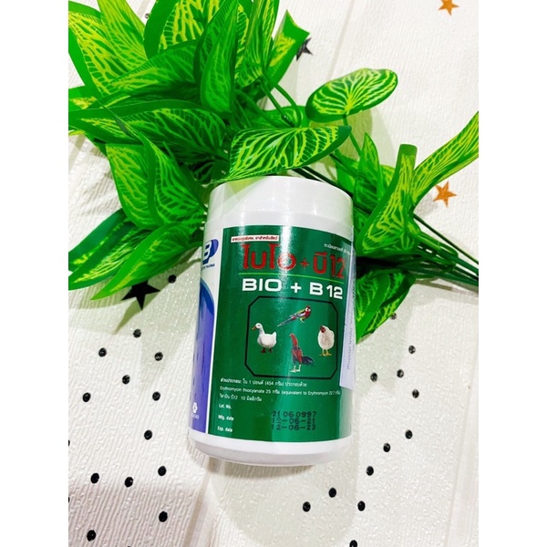 Bio +  B12 thuốc úm gà con