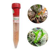 KEIKI DUY Pro 15ml bôi trực tiếp kích mầm kích chồi cây Phong lan
