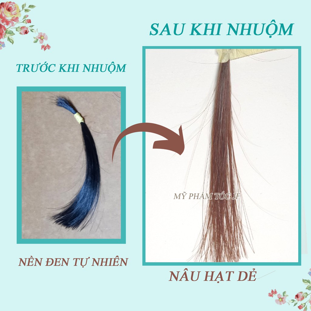 Thuốc nhuộm tóc màu NÂU HẠT DẺ - Lên Từ Nền Đen - KHÔNG TẨY