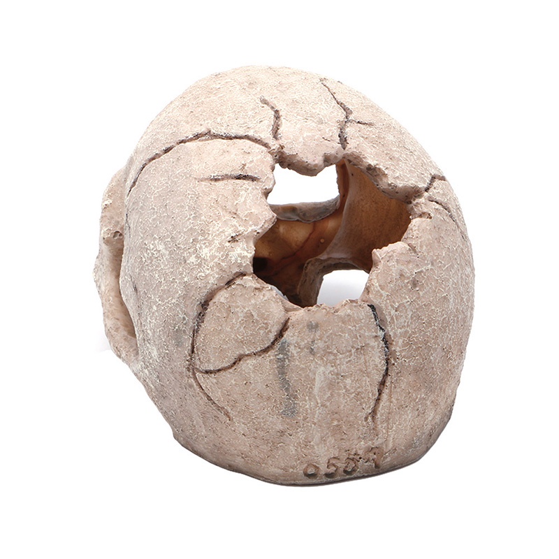 Đồ trang trí sọ người bằng nhựa resin 5.5 inch dùng trang trí bể cá
