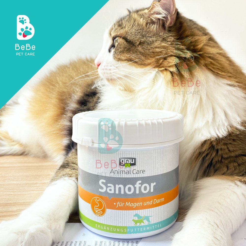 GRAU Sanofor - Bùn Moor Hỗ Trợ Tiêu Hoá