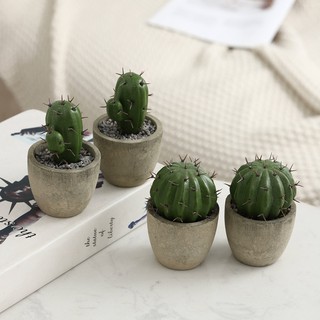 Chậu Cây Xương Rồng Giả Mini Để Bàn Trang Trí Nhà Cửa / Sân Vườn