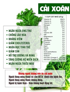BỘT CẢI KALE (CẢI XOĂN) SẤY LẠNH