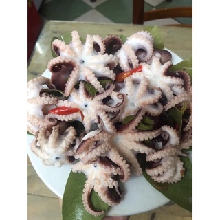 Bạch tuộc sữa làm sạch 500gr