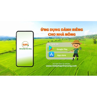 HẠT GIỐNG ĐẬU BẮP SN205 20G