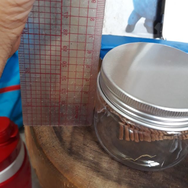 Hủ 100gram nắp nhôm combo 100c