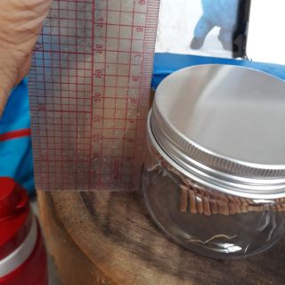 Hủ 100gram nắp nhôm combo 100c