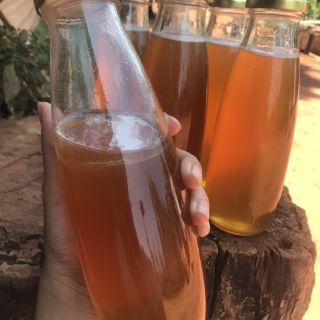 Mật ong hoa cà phê