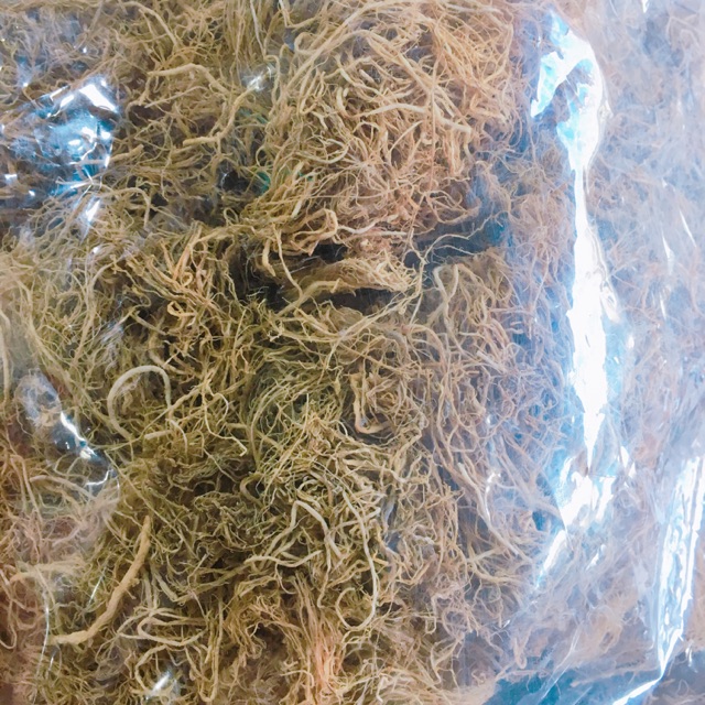 Rong câu chỉ vàng 200g