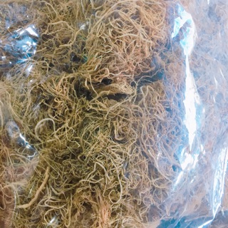 Rong câu chỉ vàng 200g