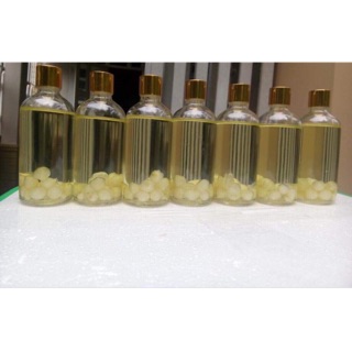 Tinh Dầu Tràm ngâm củ nén 100ml