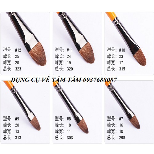 [ TÂM TÂM ]-Bộ cọ đầu oval 12 cây thân cam No A810, Cọ oval-