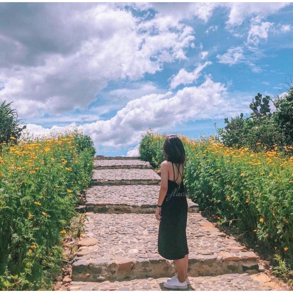 ĐẦM ĐẦM ĐEN SUÔNG ĐI BIỂN - VÁY ĐAN DÂY LƯNG | BigBuy360 - bigbuy360.vn