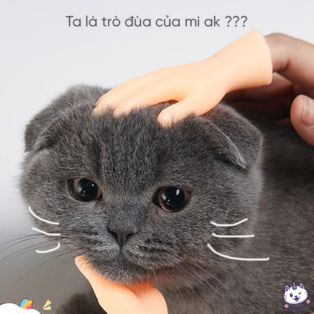 Đồ chơi bàn tay mini thử giãn, chơi đùa cùng BOSS an toàn - diniopet