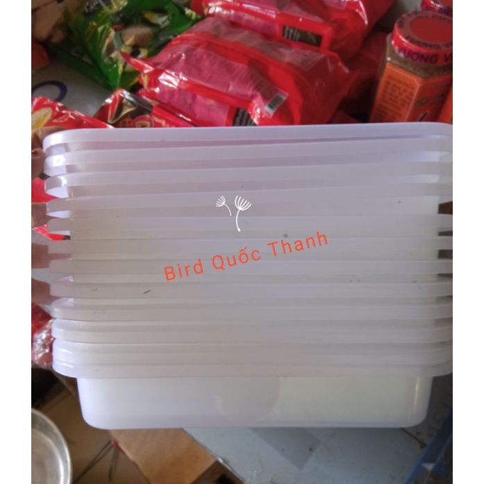 Khay tắm chim loại lớn cho chào mào, chích choè...