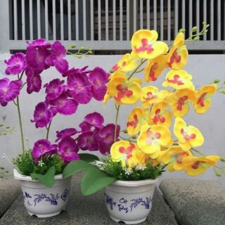 Hoa giấy lụa