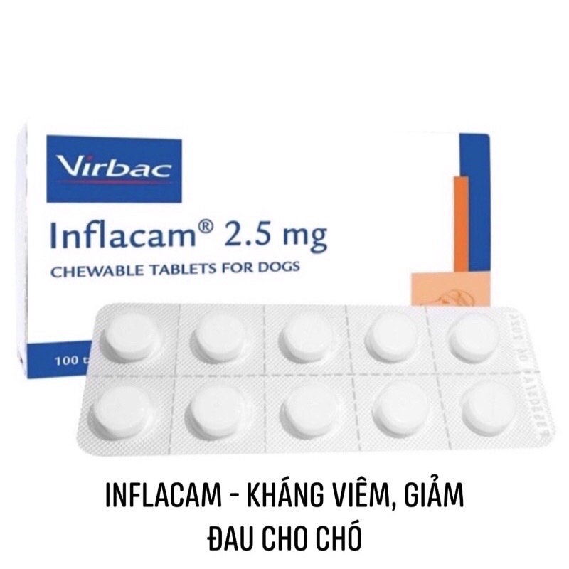 1 gói INFLACAM 2.5mg dùng cho chó