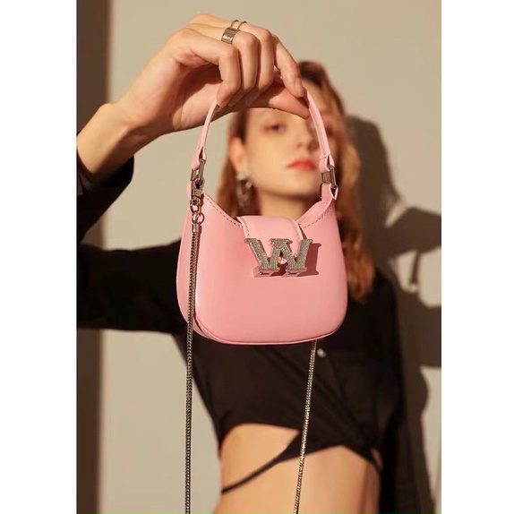 Túi Alexander Wang Mini