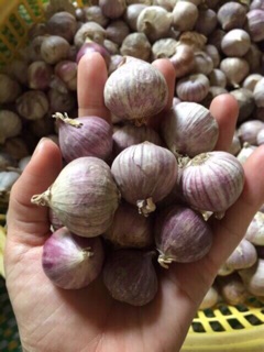 1kg tỏi cô đơn ta
