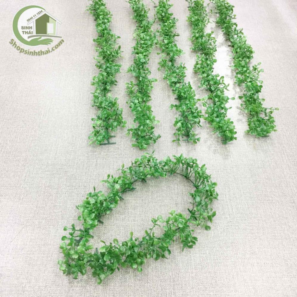 Dây cỏ - dây leo xanh - dây lá cây trang trí nhà cửa, noel, tiệc