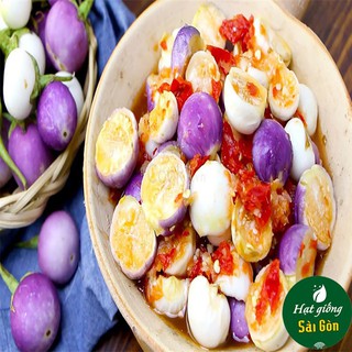 Hạt Giống Cà Pháo Tím