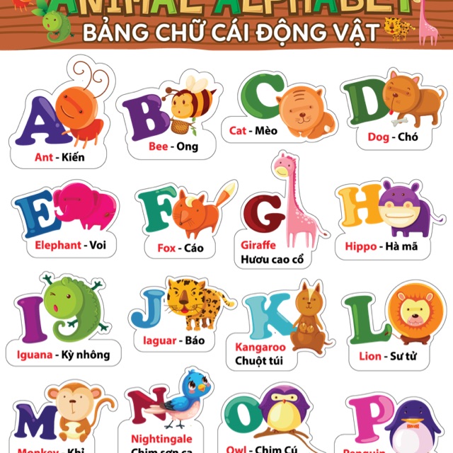 Decal - Bảng chữ cái tiếng anh