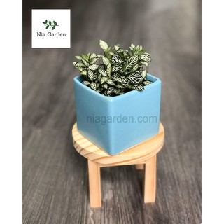 Đế lót gỗ cho chậu cây, 4 chân tròn cao