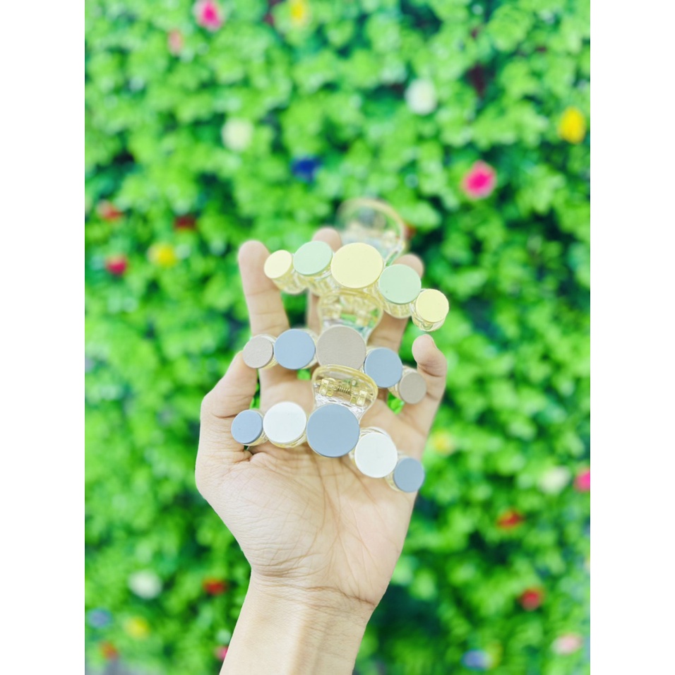Kẹp càng cua hình tròn sắc màu