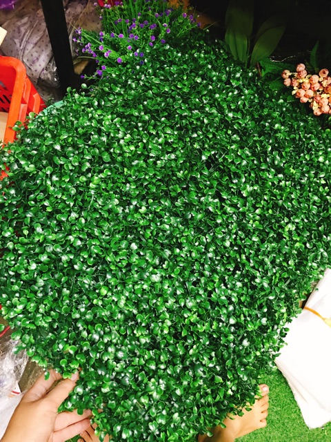 Thảm cỏ nhân tạo 🌺FREESHIP🌺 Thảm cỏ xoong nhân tạo pvc kích thước 60x40cm