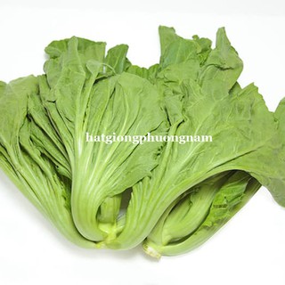 Hạt giống cải bẹ dưa