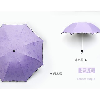 Ô gấp “Gặp nước Nở Hoa”
