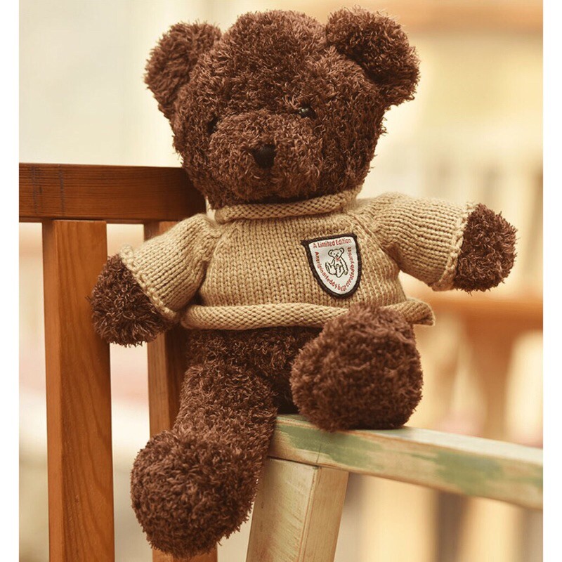 túi gấu teddy