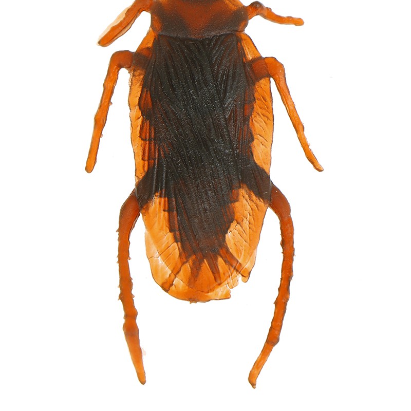 12 Gián Giả Trang Trí Halloween