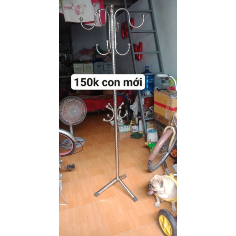 Xe thể thao.  xe fix  gear