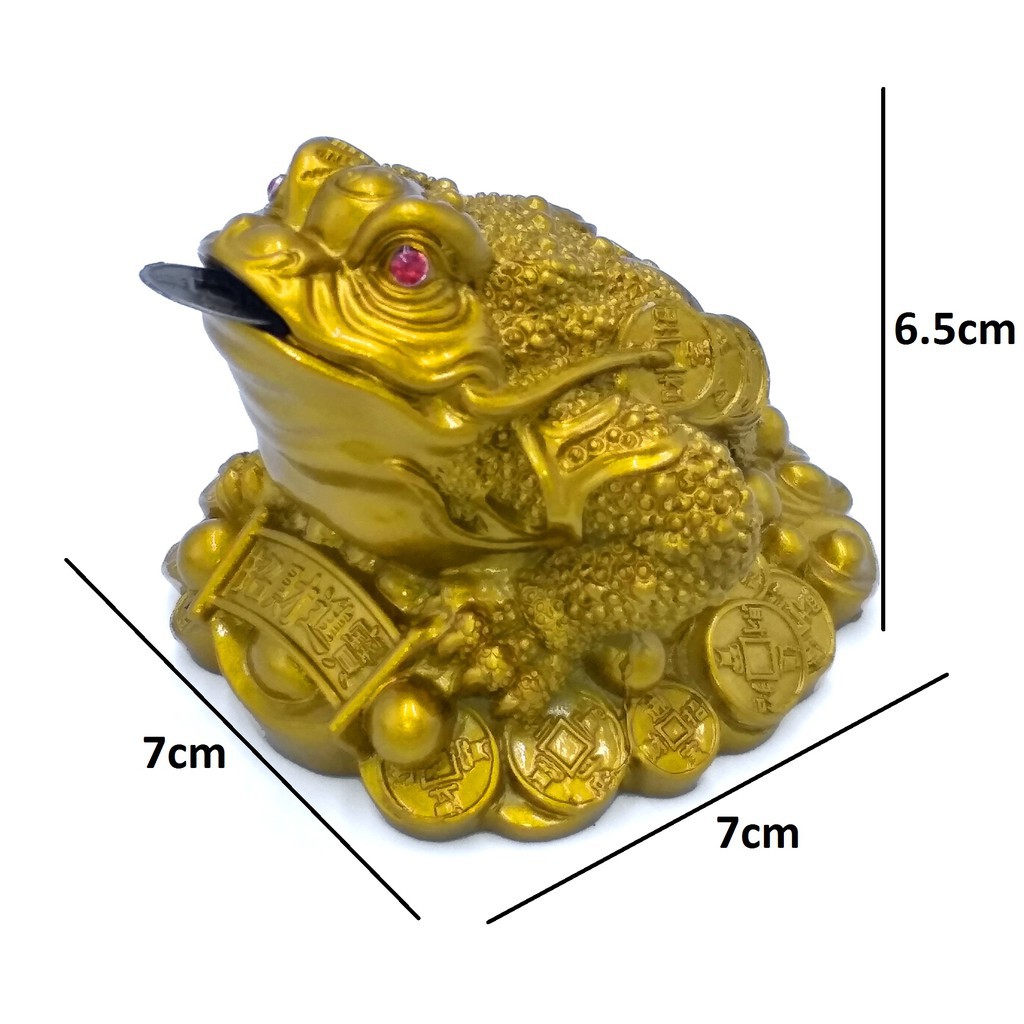 Cóc vàng mạ đồng 7 cm