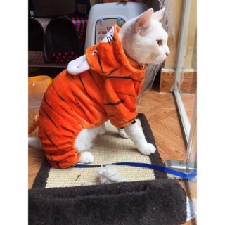Áo Cosplay cho chó mèo