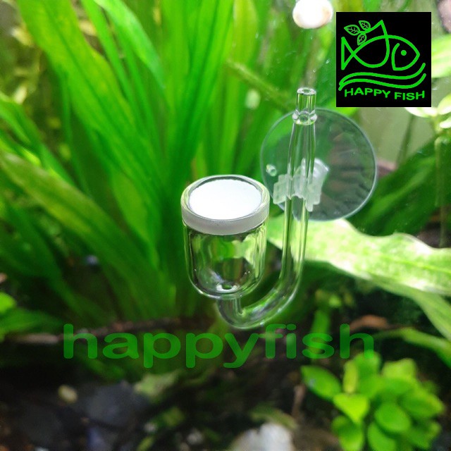 Cốc Sủi CO2 Thuỷ Tinh Siêu Mịn - Cốc Sủi Nano