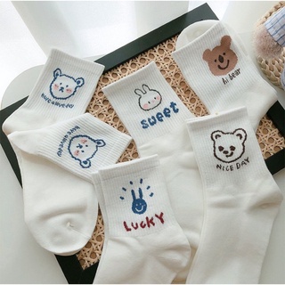 Set 5 đôi tất cao cổ
