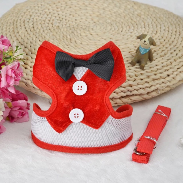 Dây dắt yếm Gentleman Gile đẹp cho chó mèo ( y hình)