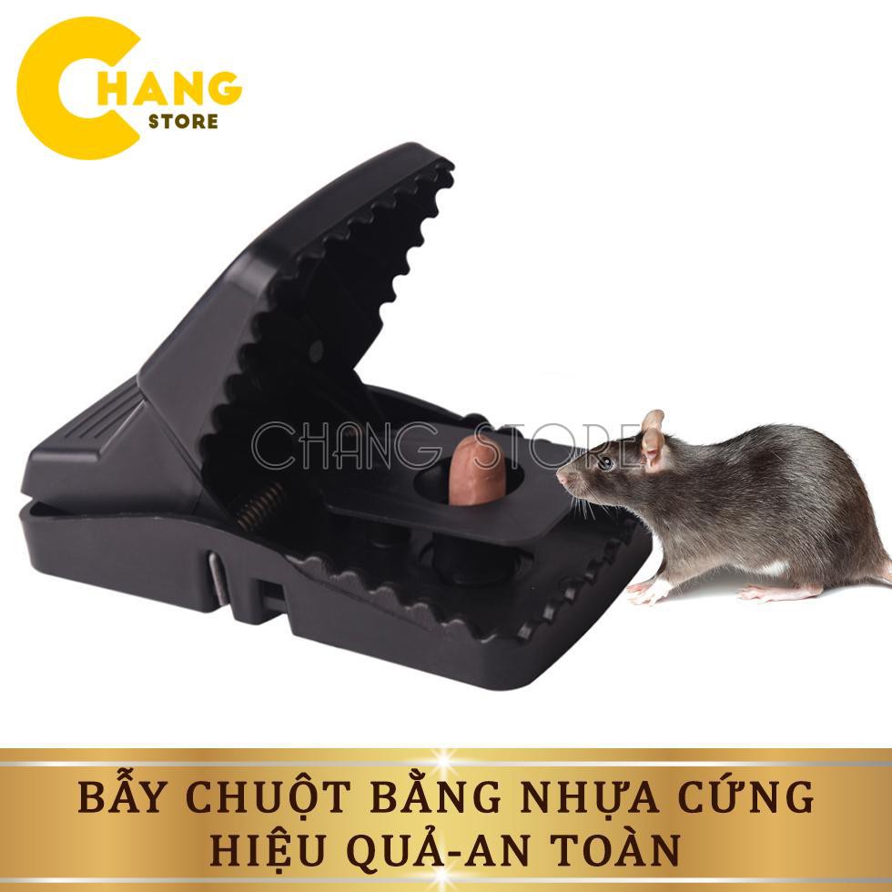 Combo 5 Bẫy Chuột Thông Minh Hiệu Qủa