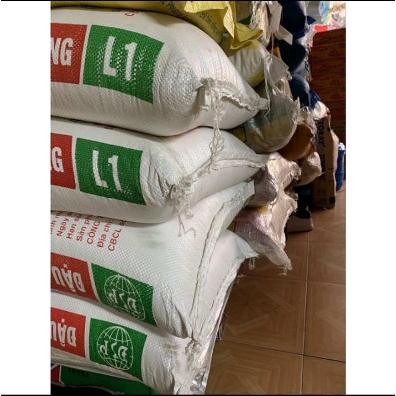 Đậu xanh tách vỏ hàng loại 1: 200g-500g