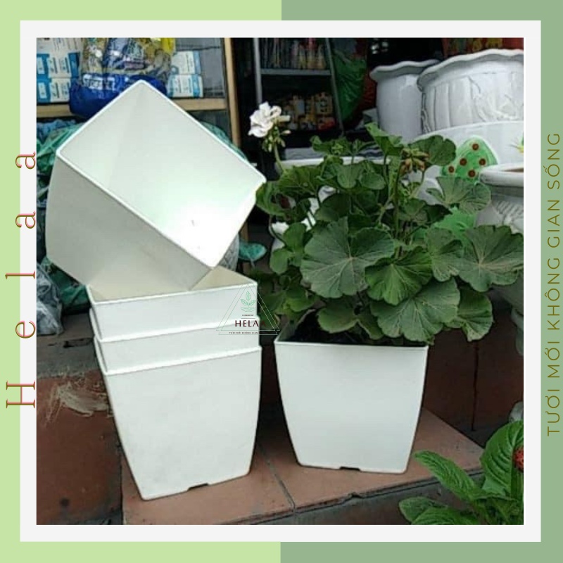 Chậu Nhựa Trồng Cây Hình Vuông, Chậu Nhựa Trồng Cây Lớn, Hoa, Rau, Ban Công, Kiểu Dáng Hiện Đại 24x25cm