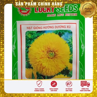 Hạt Giống Hoa Hướng Dương Xù LUCKY SEEDS