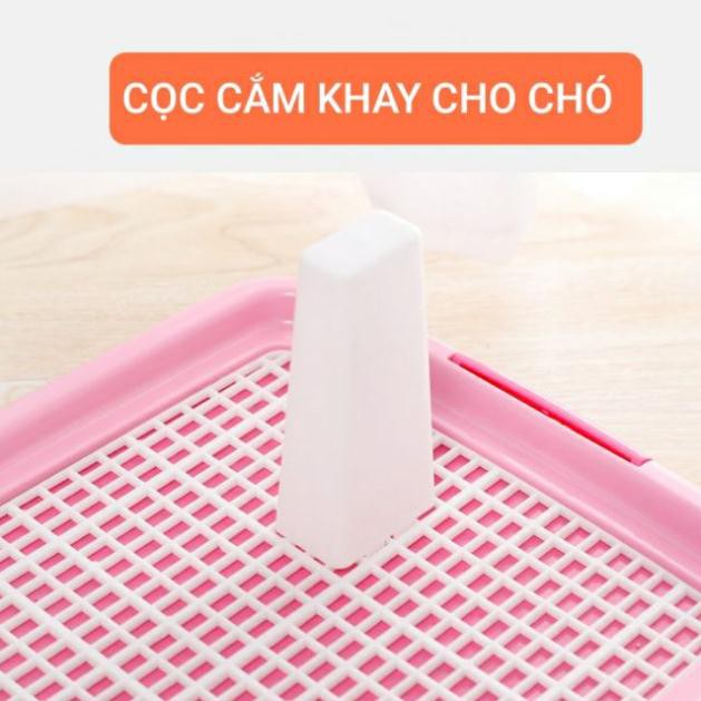 Cọc cắm khay vệ sinh cho chó đực