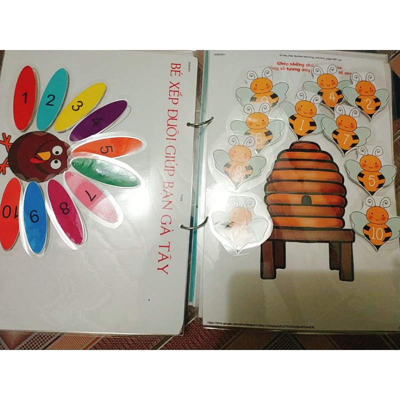 combo học liệu bóc dán, matching