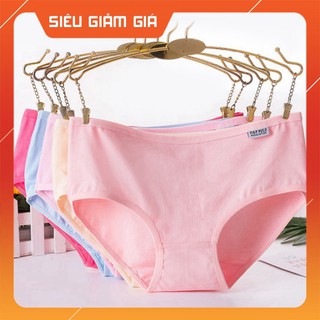 Quần Lót Cotton Siêu Đẹp Size L Đa Dạng Màu Sắc, Tất Giấy - H & N Shop 2